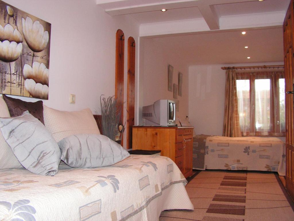 Guest House Voyno Добриниште Номер фото