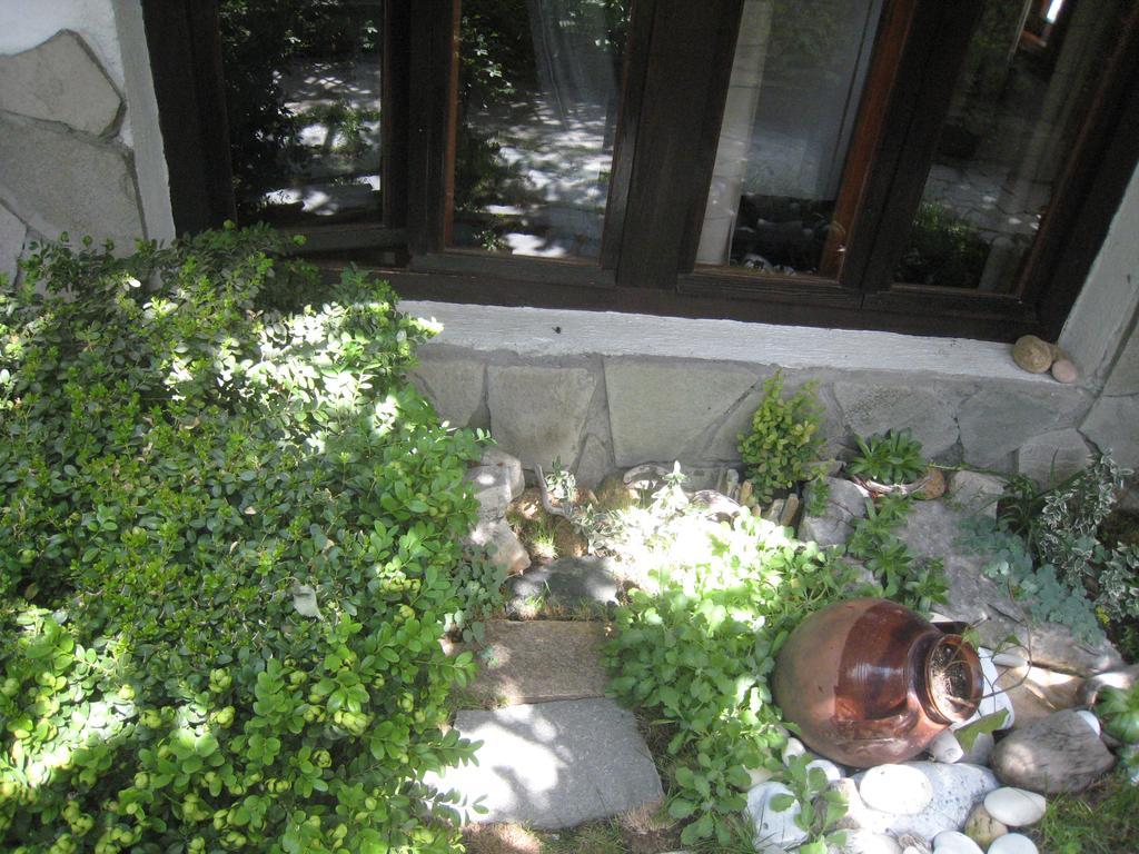 Guest House Voyno Добриниште Экстерьер фото