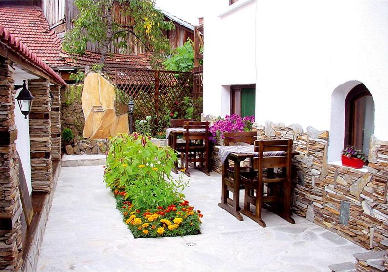 Guest House Voyno Добриниште Экстерьер фото